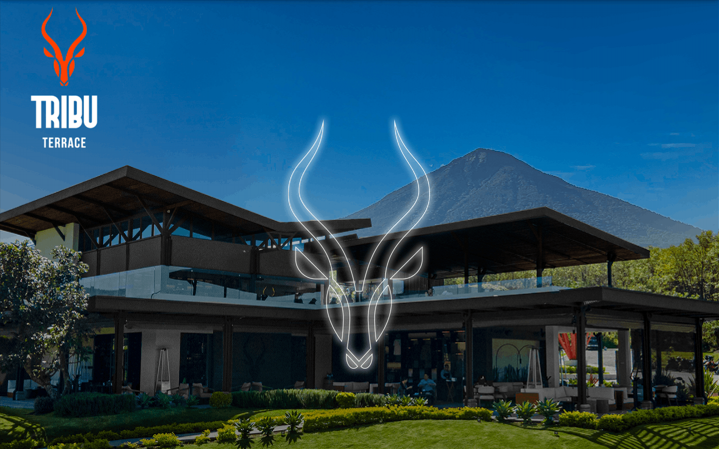 Tribu Terrace
